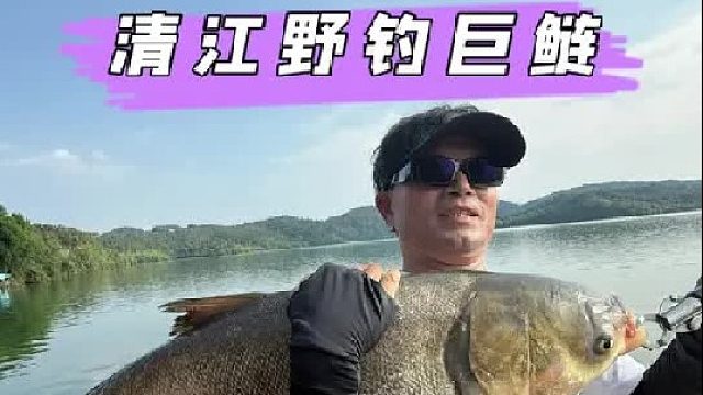 野钓狂拔巨鲢