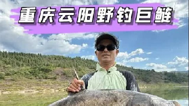 重庆云阳野钓第一天，中获60 大花鲢