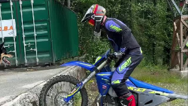 给狗都看兴奋了