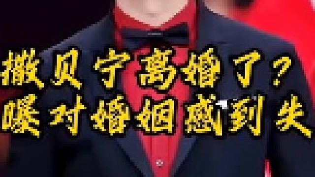 撒贝宁也传出离婚消息了，自曝对婚姻感到失望，直呼“真没意思”