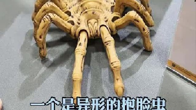 抱脸虫的发条玩具也是让你们研究出来了