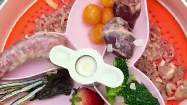 外国小姐姐为狗子准备食物