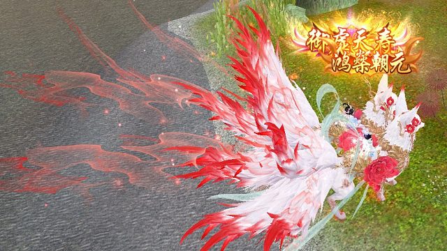 记录我们的岁岁年年