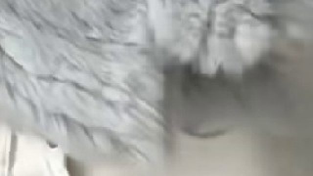 我现在正是情窦乱开的年纪