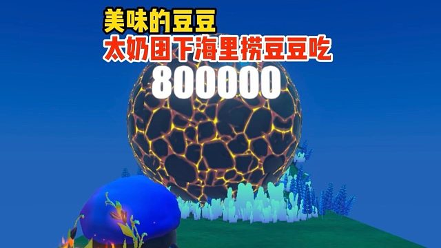 今天太奶团下海捕捞点大豆豆