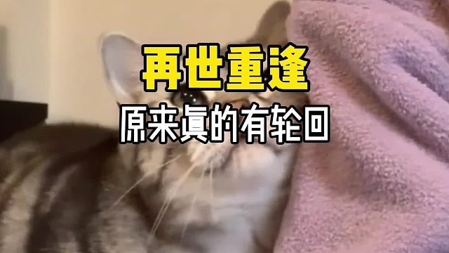 你相信世界上真的有轮回吗？