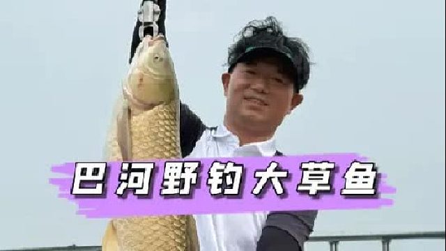 巴河野钓大草鱼
