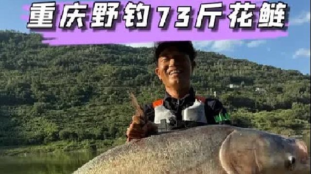 重庆手杆野钓中获73斤花鲢
