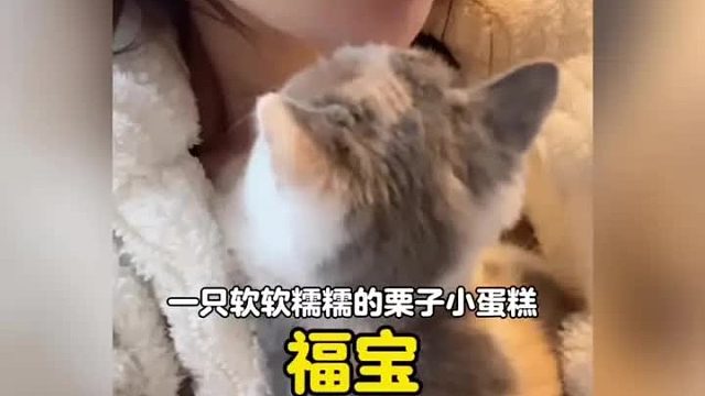 一只软软糯糯天生媚骨的小夹子