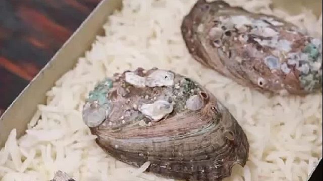 新来的，终于看明白了