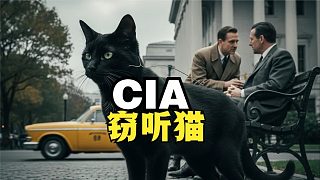 超越想象：自然奧秘與科學(xué)陰影