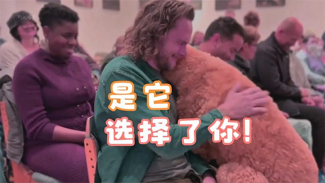 不是你领养它，而是它选择了你