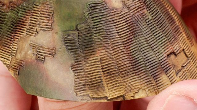 这都能用来做模型？防磁装甲超简单！