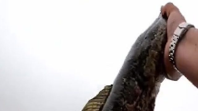 我有点不舒服，先睡了