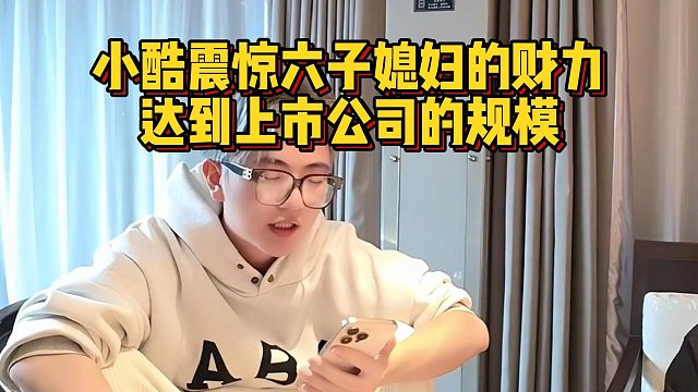 小酷震惊六子媳妇的财力，达到上市公司的规模