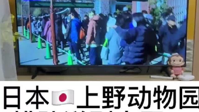 日本民众排队送别大熊猫，晓晓和蕾蕾
