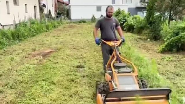 沉浸式除草，高薪又解压！（97）