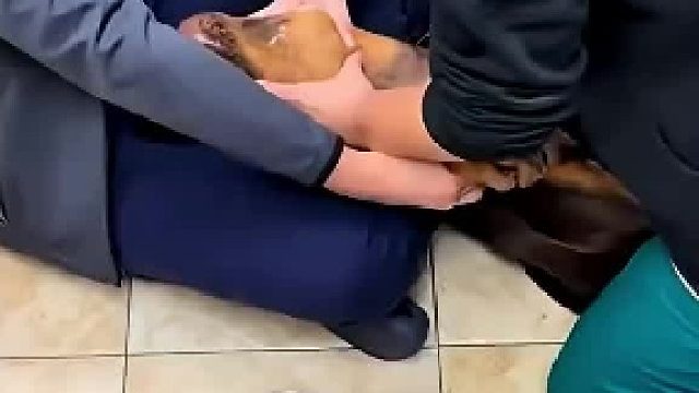 救助狗狗，治愈心灵