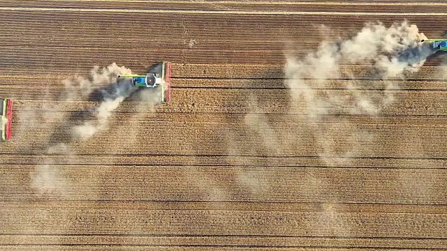 澳大利亚农场抢收180000亩小麦的震撼现场