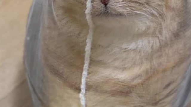 自己做了一个无边形抱枕