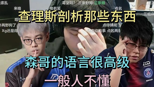 查猪剖析那些东西，森哥的语言很高级，一般人不懂