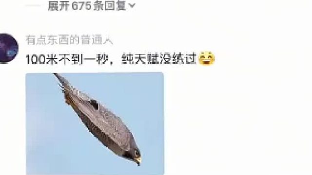 网友神评！！！