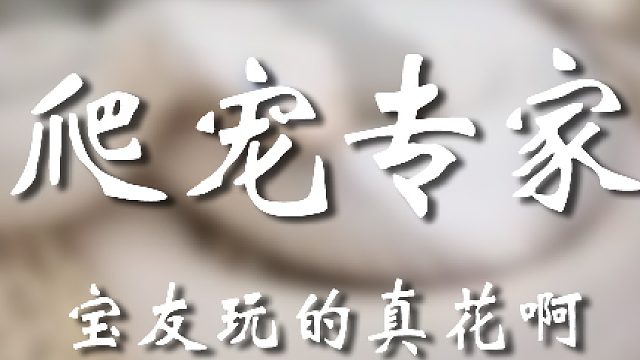 大哥不仅玩的跟别人不一样，还这么有实力#鉴宝 #爬宠 #宠物蛇