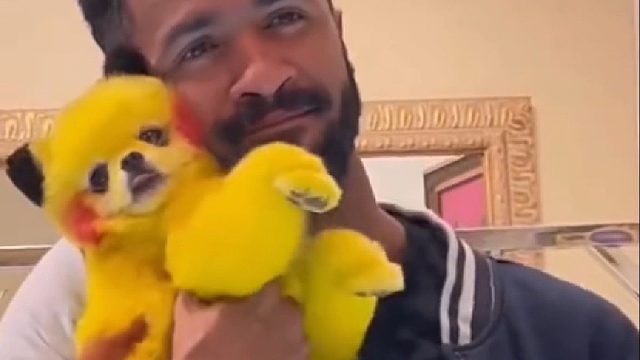 小哥开了家特殊的宠物造型美容院，吸引各地铲屎官带宠物不远万里而来