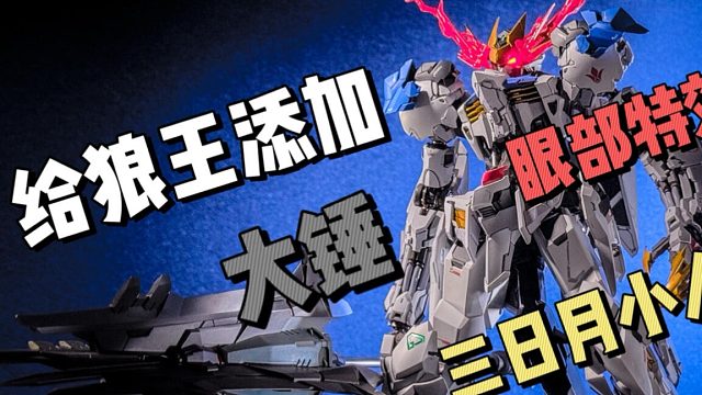 今天来给狼王完成最后的工作