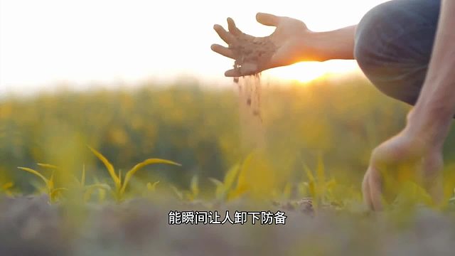 温柔声线，抚平焦虑心绪梨花教育靠谱吗