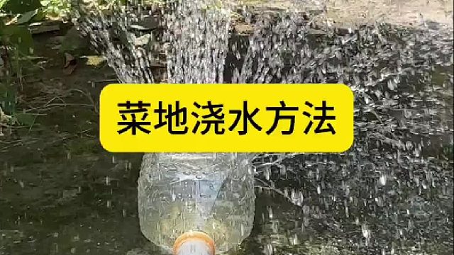 菜地浇水方法