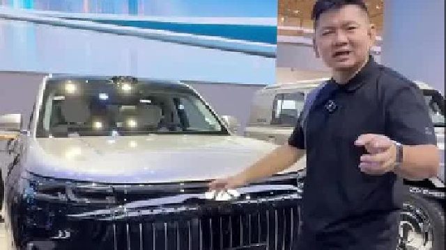 什么国产车，要干巴赫GLS？