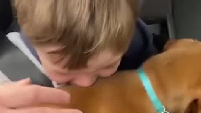 孩子和狗狗之间的纯真的爱