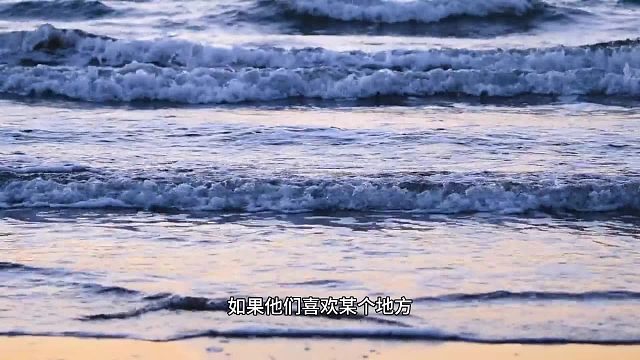 定制配音让失语者心声落地梨花教育