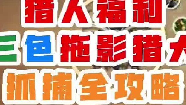 魔兽世界福利三色拖影猎犬抓捕全攻略