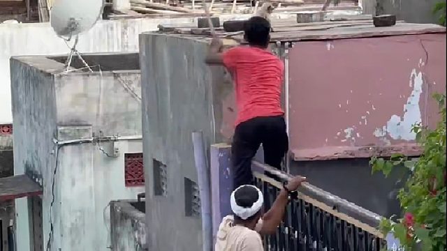 村民组建抓猴队抓捕泛滥成灾的猴子