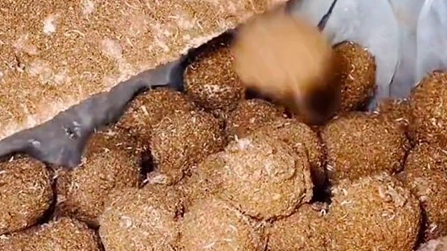 金窝银窝不如自己的窝，鸡蛋鸭蛋不如剥个皮