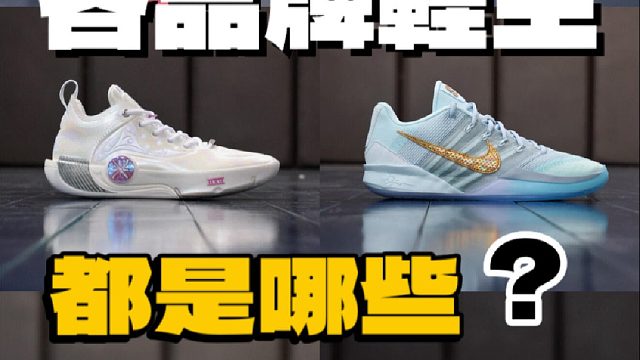 每个品牌选一双？ 怎么选？（2025版）