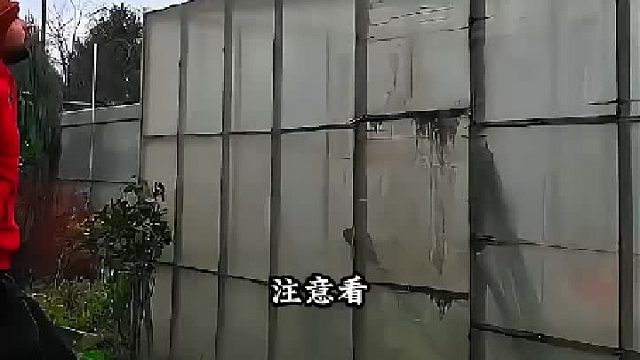 男子利用废弃铁桶加工出一件精美的家具，真是太有创意了