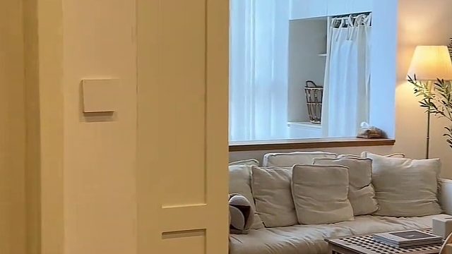 31岁，在深圳拥有了自己的家