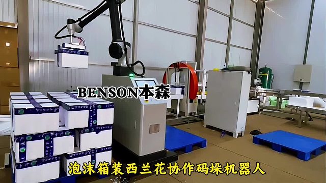 泡沫箱装西兰花协作码垛机器人
