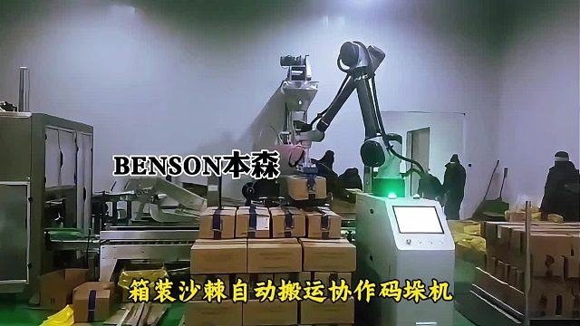 箱装沙棘自动搬运协作码垛机