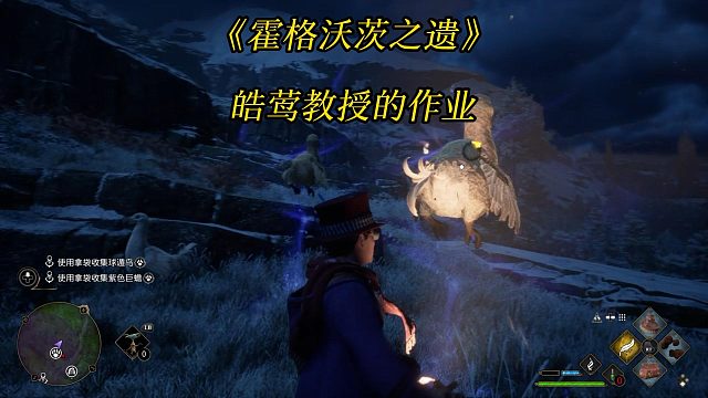 《霍格沃茨之遗》皓莺教授的作业：使用拿袋收集球遁鸟和紫色巨蟾-Hogwarts Legacy攻略