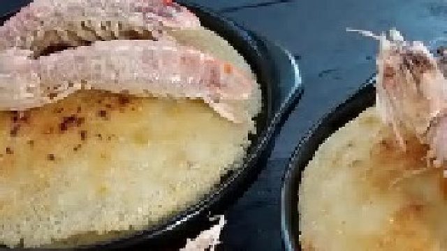 哇！今天好多皮皮虾呀！大家会怎么选呢