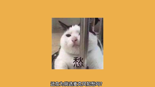 麦克风选购避坑！这5款代表机型，新手直接抄作业