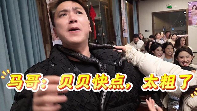 差点把40岁老汉给吓坏了，马哥：贝贝快点
