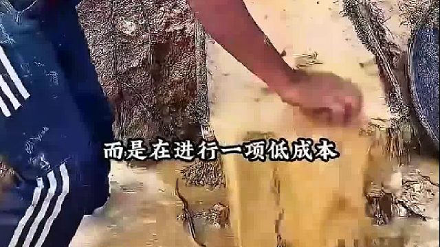 夫妻俩用古法在河床上淘到了价值连城的物件