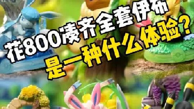 花800凑齐全套伊布是一种什么体验？