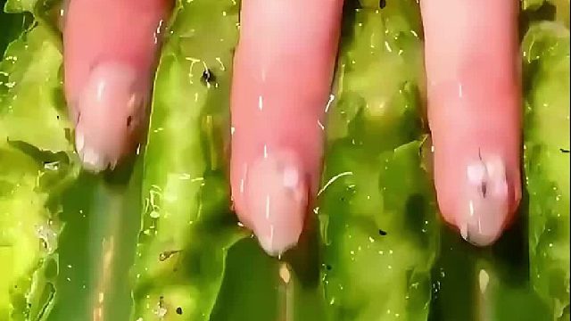 女子将野生仙人掌拿来碳烤，真是涨见识了