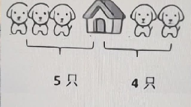 一共有几只狗呢？